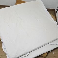 引き取り先決まりました(*^^*) トゥルースリーパー シングル 2つあります。の画像