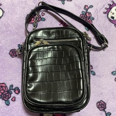 ZARA クロコダイル　ショルダーバッグ