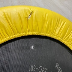 差し上げます　
トランポリン　寒い時期の室内での運動にの画像