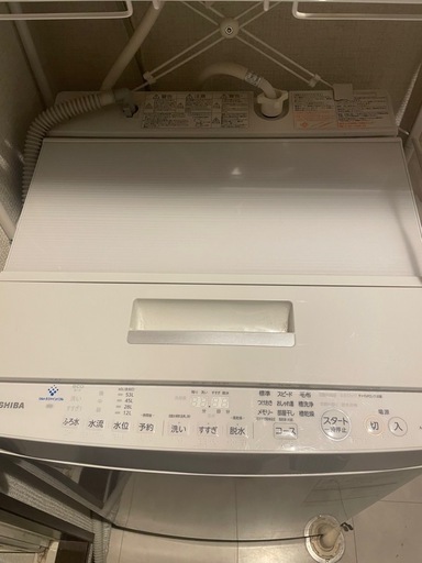 1/21お譲り先決まりました。