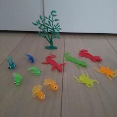 金魚、虫、トカゲ🦎