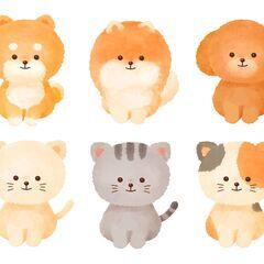 ＜1月18日限定＞日給10,000円✨ペットショップでのお仕事！...