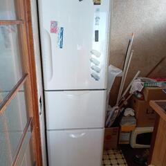 「初売り」という名の投売り　３ドア冷蔵庫の画像