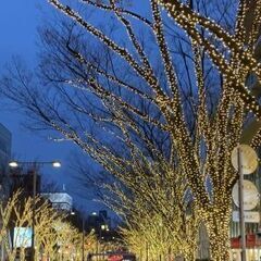 やる気があれば時給1200円も!!レギュラーアルバイト募集♪安定して勤務したい人大歓迎!の画像