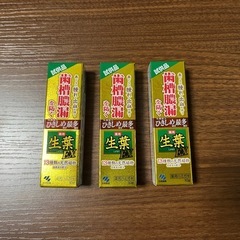 薬用ハミガキ 生葉 3本 