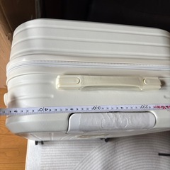 Lサイズ 
キャリーケーツ新品未使用の画像