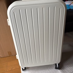 Lサイズ 
キャリーケーツ新品未使用の画像