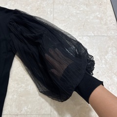 シースルーニットの画像