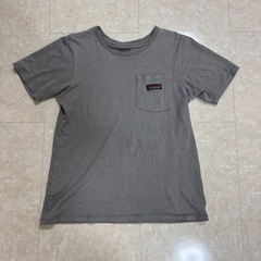 パタゴニアTシャツ