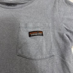 パタゴニアTシャツの画像