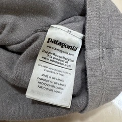 パタゴニアTシャツの画像