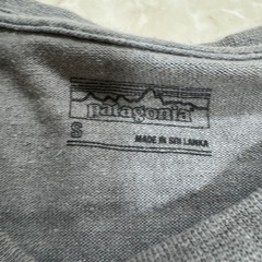パタゴニアTシャツの画像