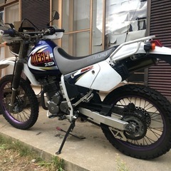 決まりました。ジェベル250XC