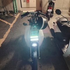 制約中スーパーカブ50(角目)スタンダードモデル