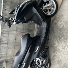 マジェスティs 
