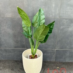 人工観葉植物レギネ1.0m
