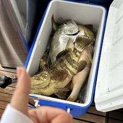 週末に友達募集✨