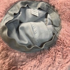 ユニバ　ピンクティム　バケハの画像