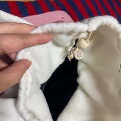 手持ちバッグの画像