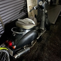 ズーマー、スクーピー、原付2台の画像