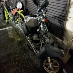 ズーマー、スクーピー、原付2台の画像