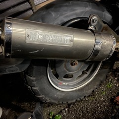 ズーマー、スクーピー、原付2台の画像
