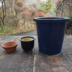 植木鉢　10号　5号　浅鉢　三個セット