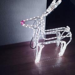 Christmas　トナカイ
