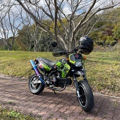 バイクカワサキ110cc