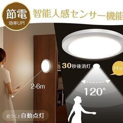 【定価3880円】LEDセンサーライトの画像