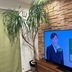 ランキングキーワードに紐づく投稿画像-観葉植物