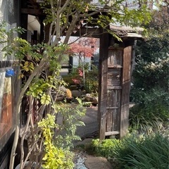 8.庭木　　掲載鉢は終了