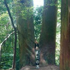 筑波山登山 - 牛久市