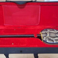 沖縄三線セミハードケースの画像