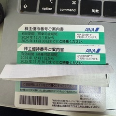 ANA株主優待券2枚/2025.11.30まで