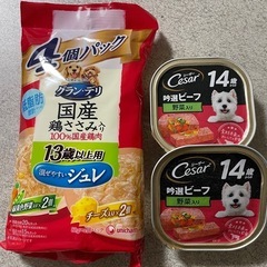 グランデリ 13歳以上用 シーザー 14歳から セット売り 