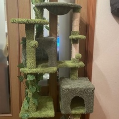 キャットタワー