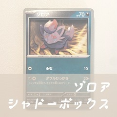 【シャドーボックス】ゾロア【ポケモンカード】