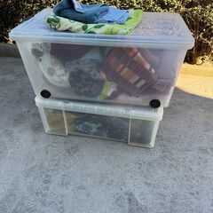 メールなければ処分するものの画像