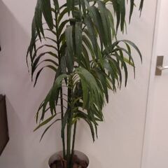 造花　観葉植物