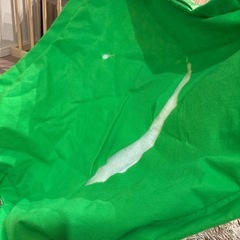 レインフォレスト　フィッシャープライス　その他おもちゃの画像