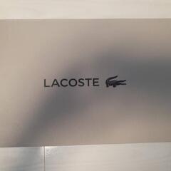 【新品】LACOSTE　ガゾンキャンパススリッポン(262)RED　24cmの画像