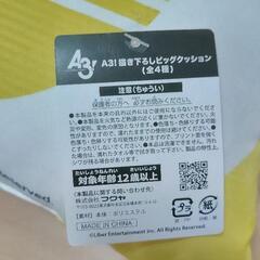 A3！ 描き下ろしビッグクッションの画像
