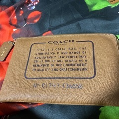 coachのポーチ🩷🩷🩷早いもの勝ちの画像