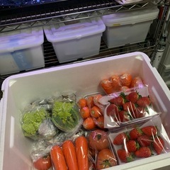 野菜　お買い得　スーパーの税込より　激安💫