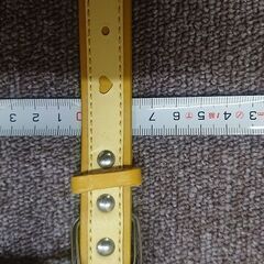 犬用首輪　サイズ21　黄色　まとめて6本　新品未使用　の画像