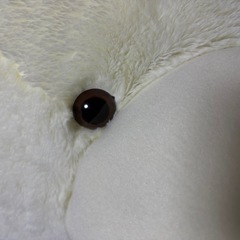 クマのぬいぐるみの画像