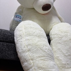 クマのぬいぐるみの画像