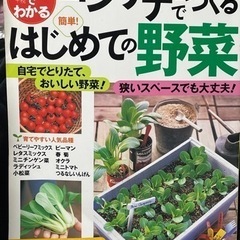 コンテナでつくるはじめての野菜　本
