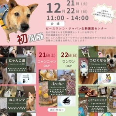 ご参加ありがとうございました！わんにゃんパーティー譲渡会＆チャリ...